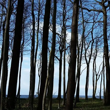 Near Seabeach * Rostock
